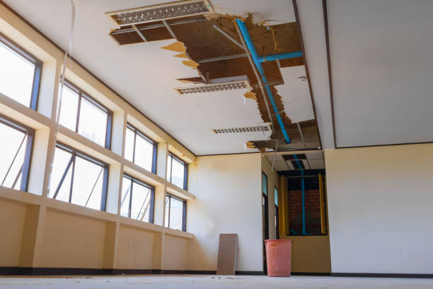 Best Local water damage restoration  in Sanger, TX