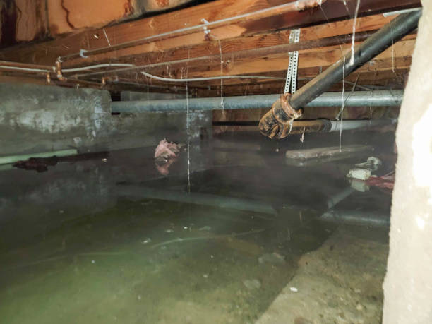 Best Water damage restoration near me  in Sanger, TX