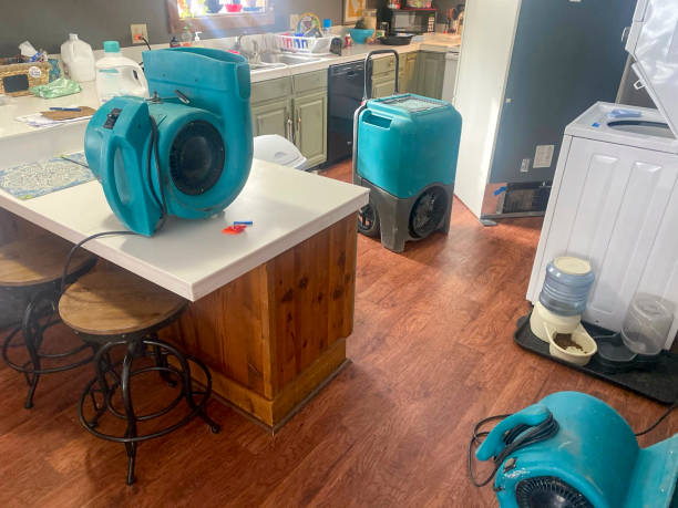 Best Fire Damage Restoration  in Sanger, TX