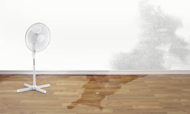 Best Basement water damage restoration  in Sanger, TX