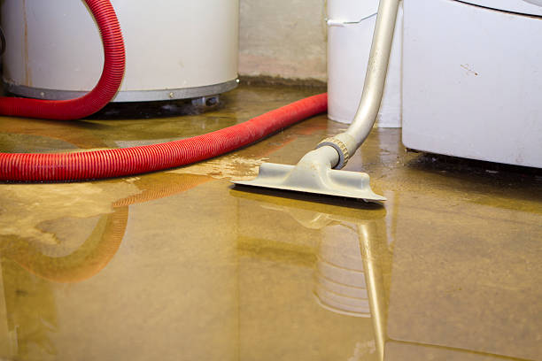 Best Water damage restoration cost  in Sanger, TX