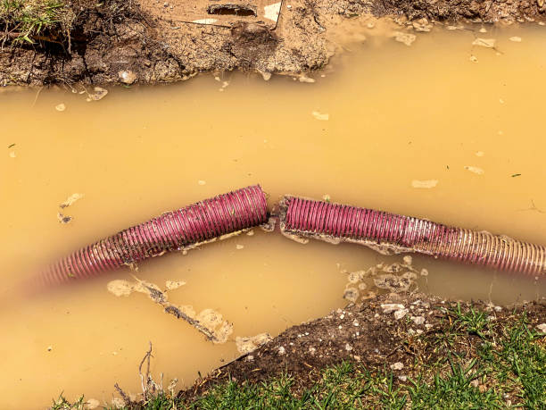 Best 24-hour water damage restoration  in Sanger, TX